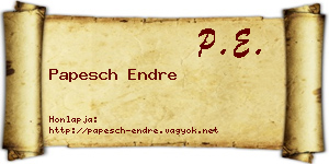 Papesch Endre névjegykártya